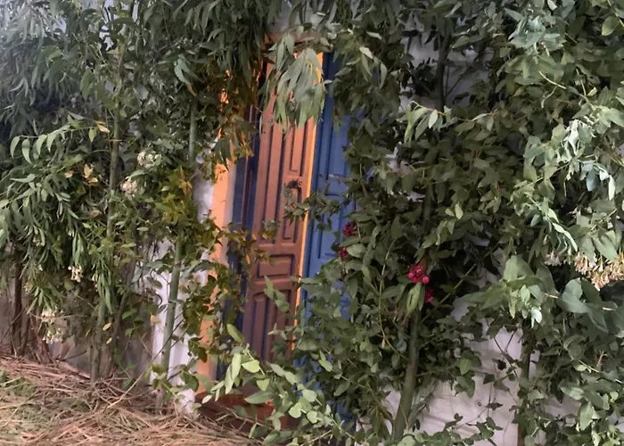 Casa Alondra