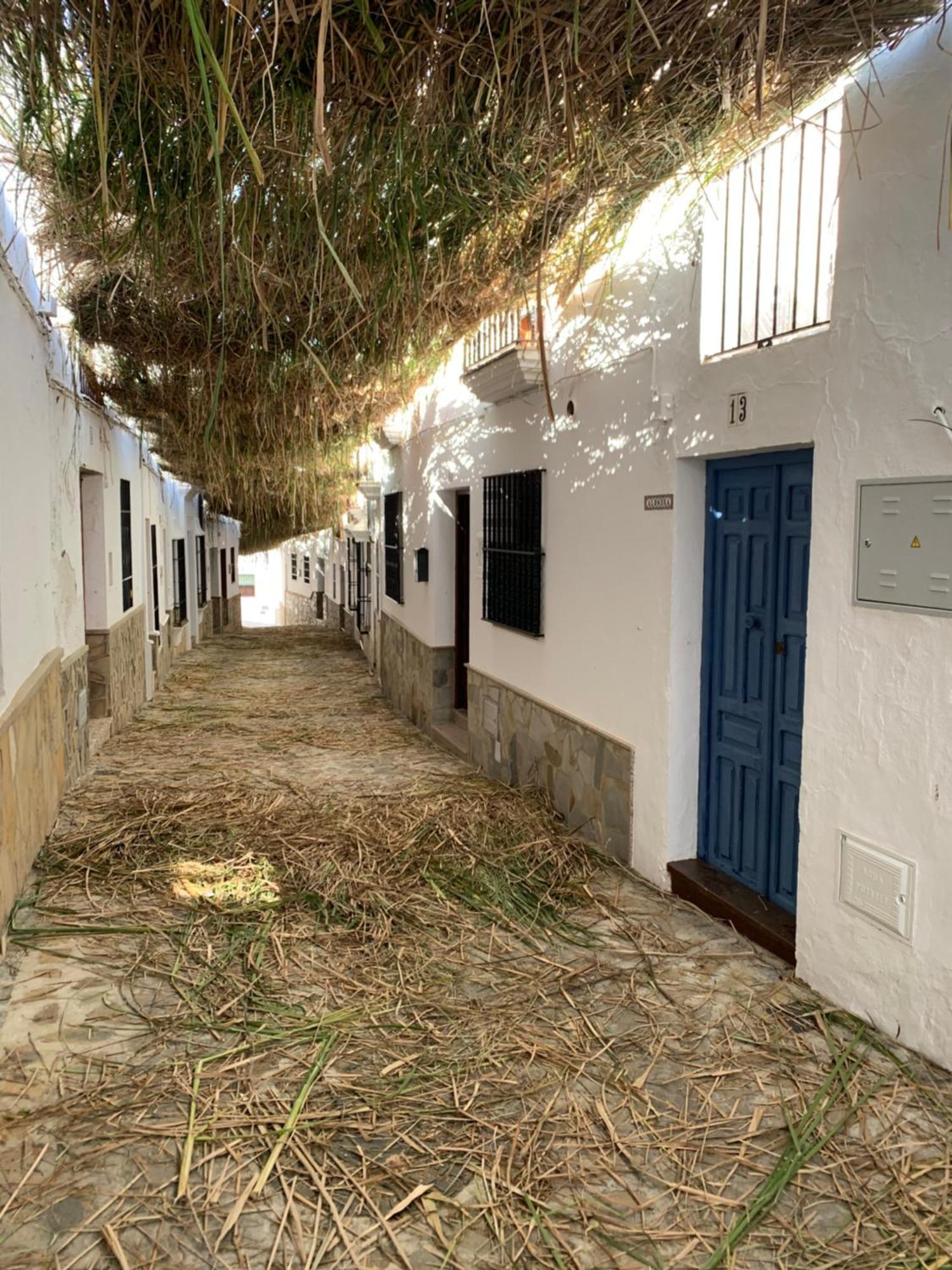 Casa Alondra Holiday home *